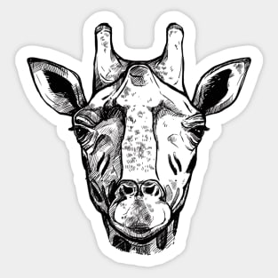 Giraffe Sticker